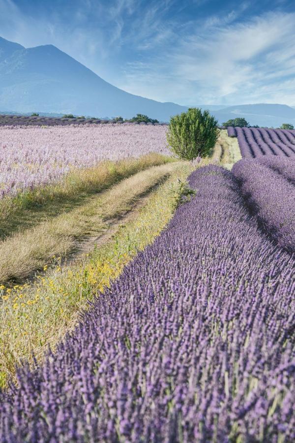 Gite Le Val Zen Valaurie - Drome Provencale Bagian luar foto